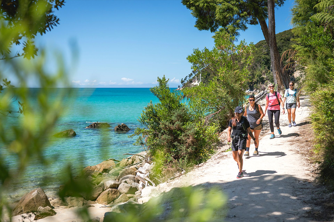 Walking path along the bay in Nelson