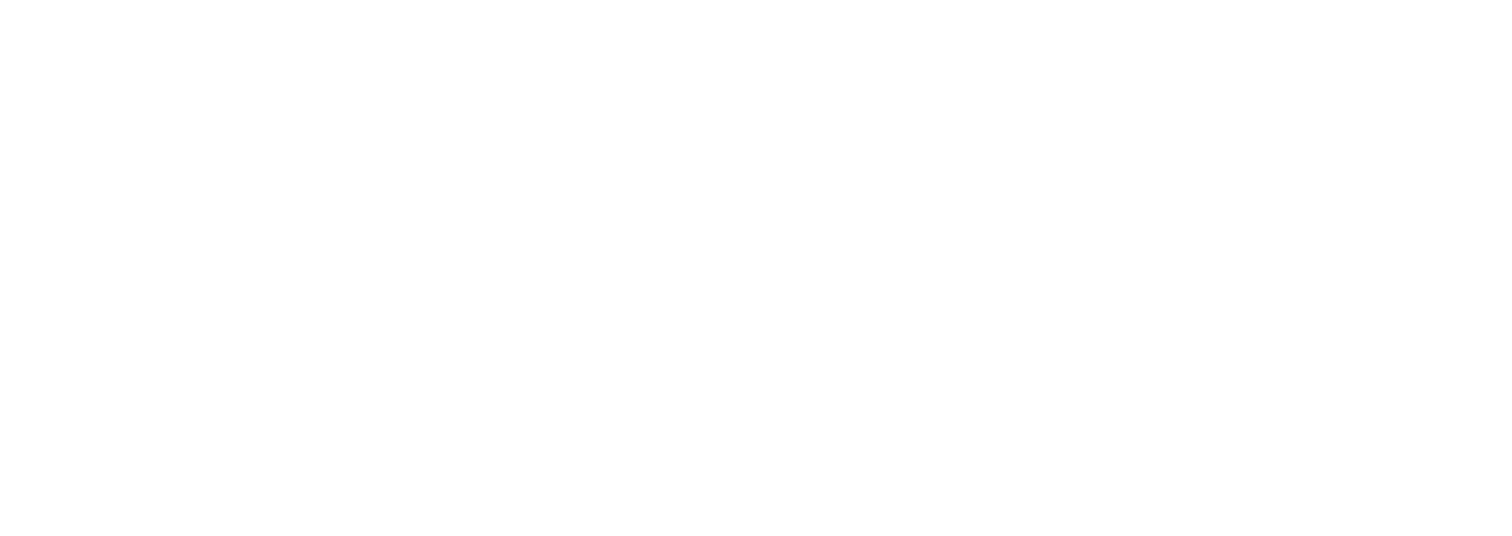 New Zealand Escapes logo white