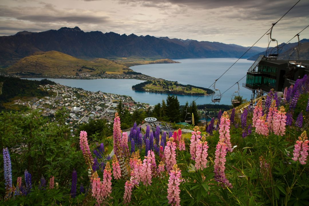 Summer in Queenstown