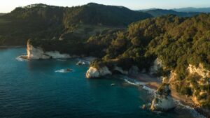 Aerial view of Cathedral Cove’s turquoise waters and forested cliffs near Whitianga