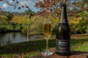 Auckland Wine Country With Lunch Bottle Of Wine At Vineyard