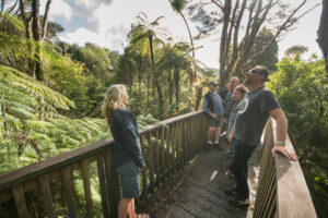Best Of Both Worlds Group Listens To Guide In Forest