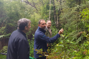 Coast And Rainforest Walk Group Explores In Rain Forest