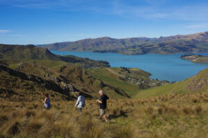 Full Day Guided Crater Rim Walk Group Walks With Amazing View