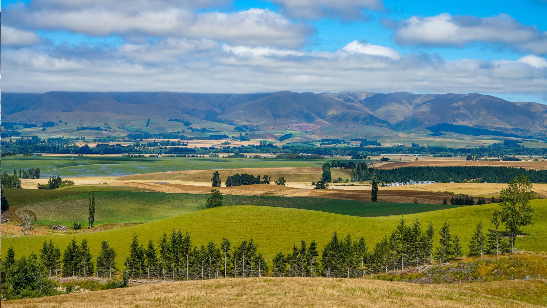 Geraldine Ranch And Mountains