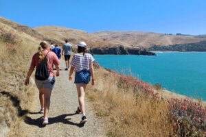 Godley Head Guided Day Tour People Walking On Path
