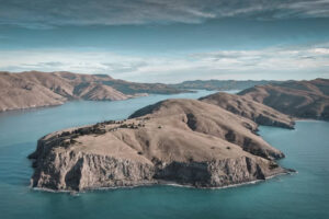 Half Day Godley Head Guided Tour Arial View