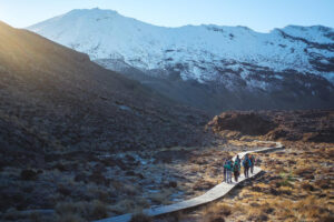 Half Day Tongariro Alpine Guided Group Walk Group Hiking