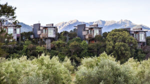 Hapuku Lodge Tree Houses Exterior View