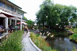 Matakana Wine And Art Village Private Tour Scenic Garden View