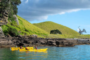 Motukorea Browns Island Sea Kayak Kayakers Near Island