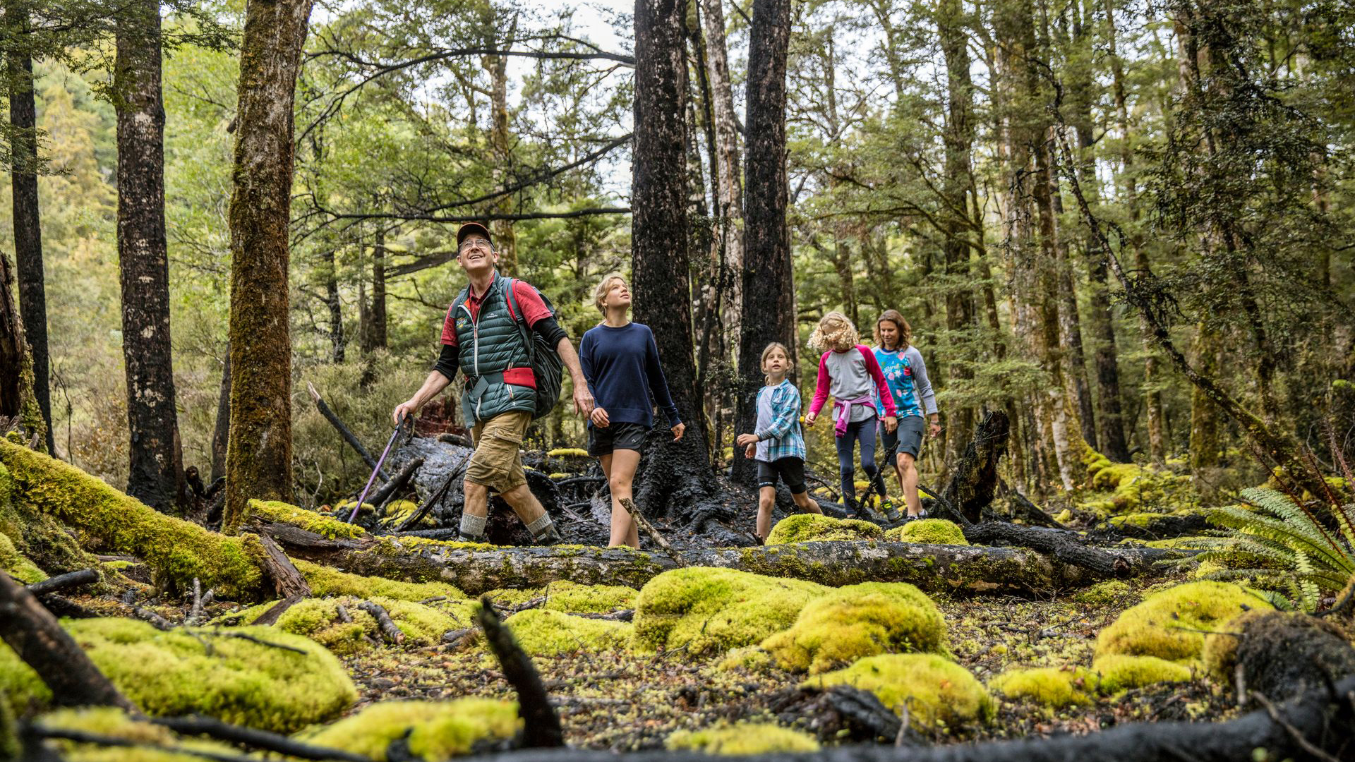 Murchison Hiking In Forest
