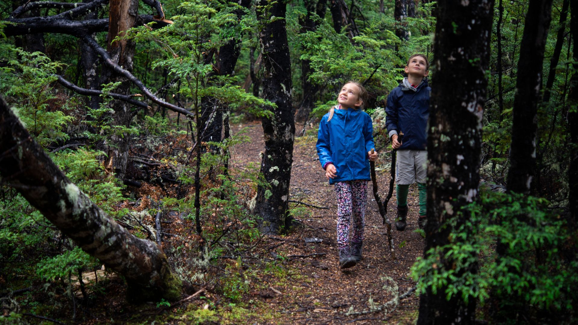 Family enjoys one of the many walking trails on New Zealand's South Island.