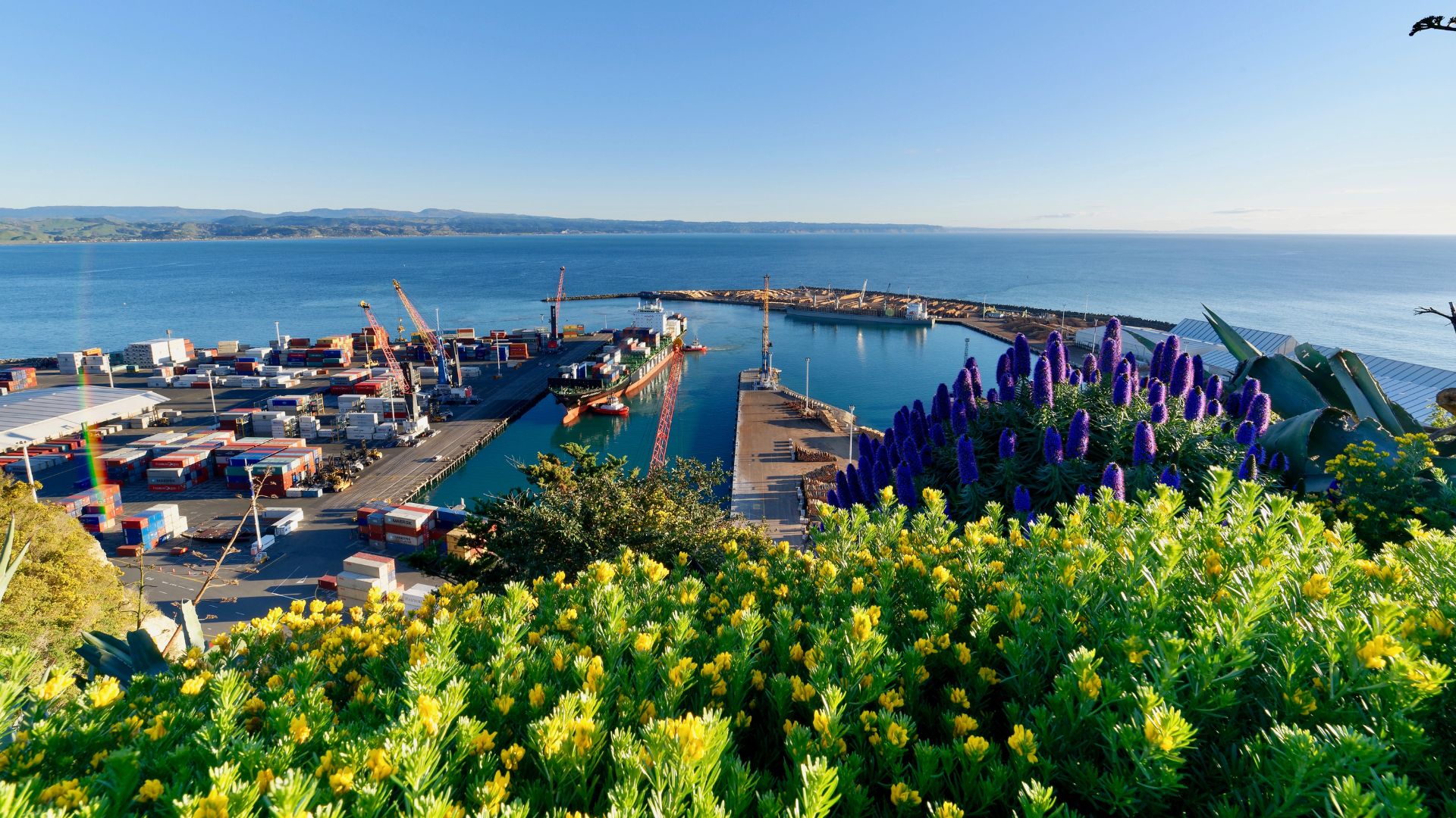 Port Of Napier Boats And Plants