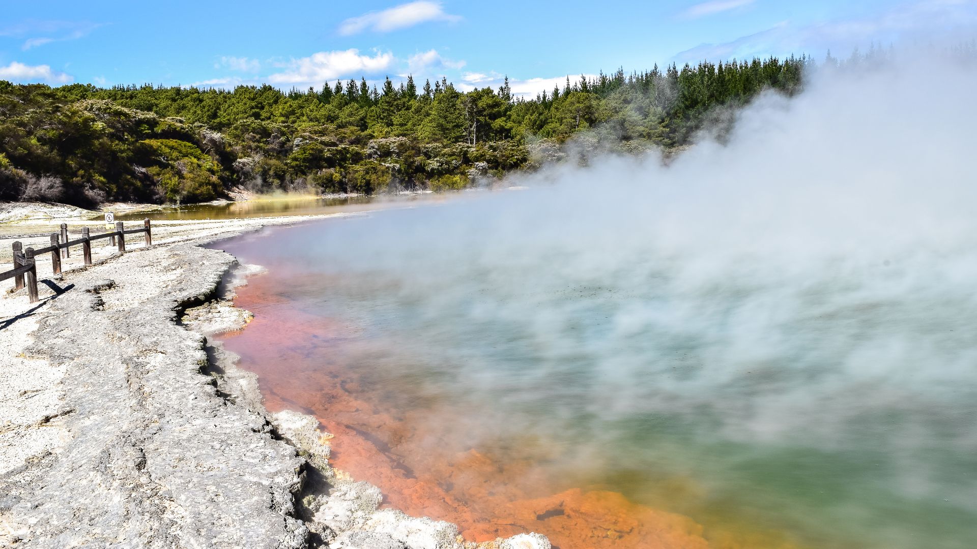 Rotorua Steam Springs New Zealand
