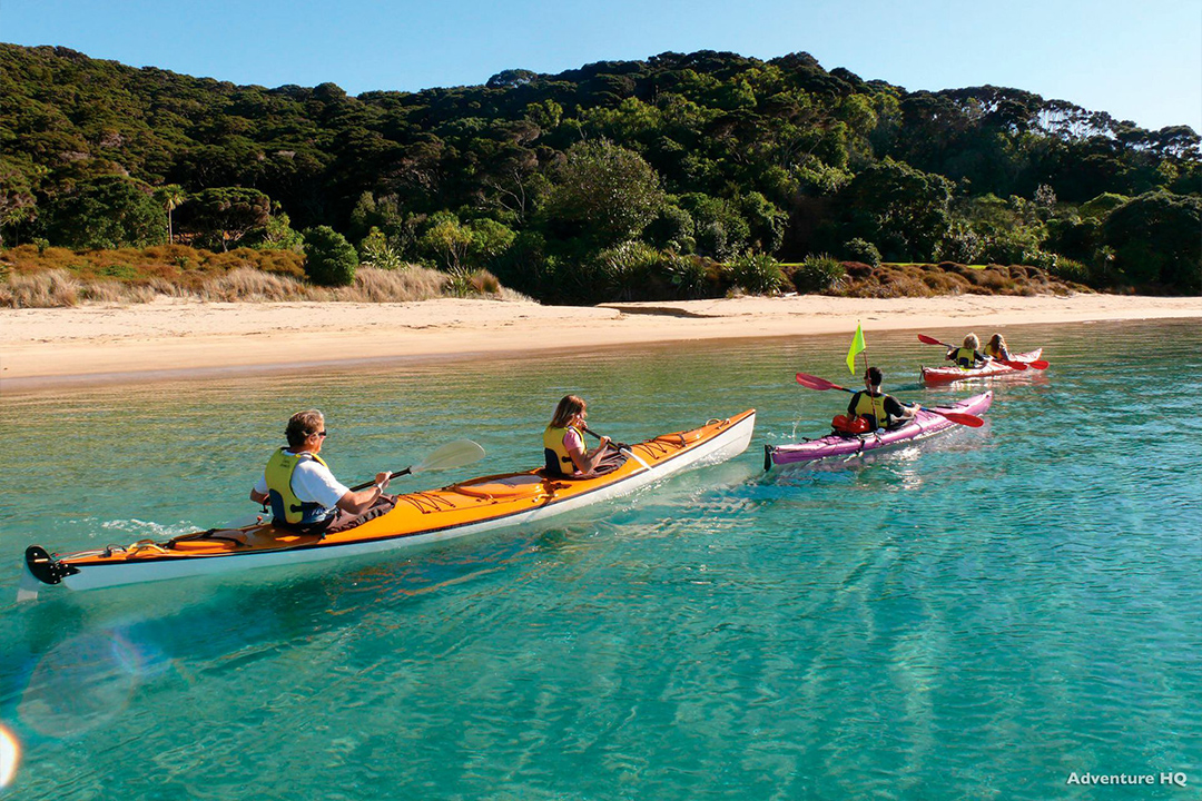 People Kayaking in the Bay of Island near Russell