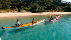 Russell Bay Of Islands People Kayaking