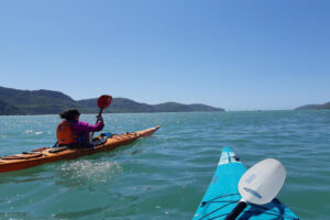 Sea Kayaking Lyttelton Habour Group Of Kayakers