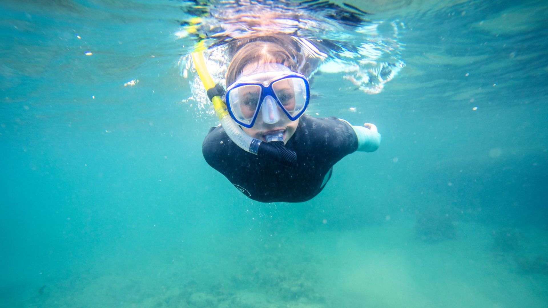 Snorkeller exploring the clear marine waters at Goat Island in Auckland