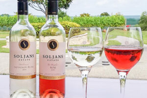 Taste Of Aukland Wine Tasting At Vineyard