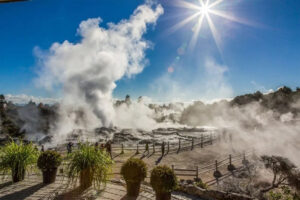 Te Puia Geothermal Valley Rotorua Tour