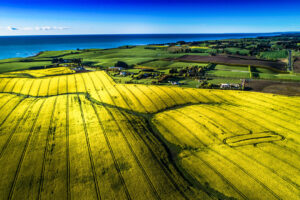 Timaru Crops with water in background