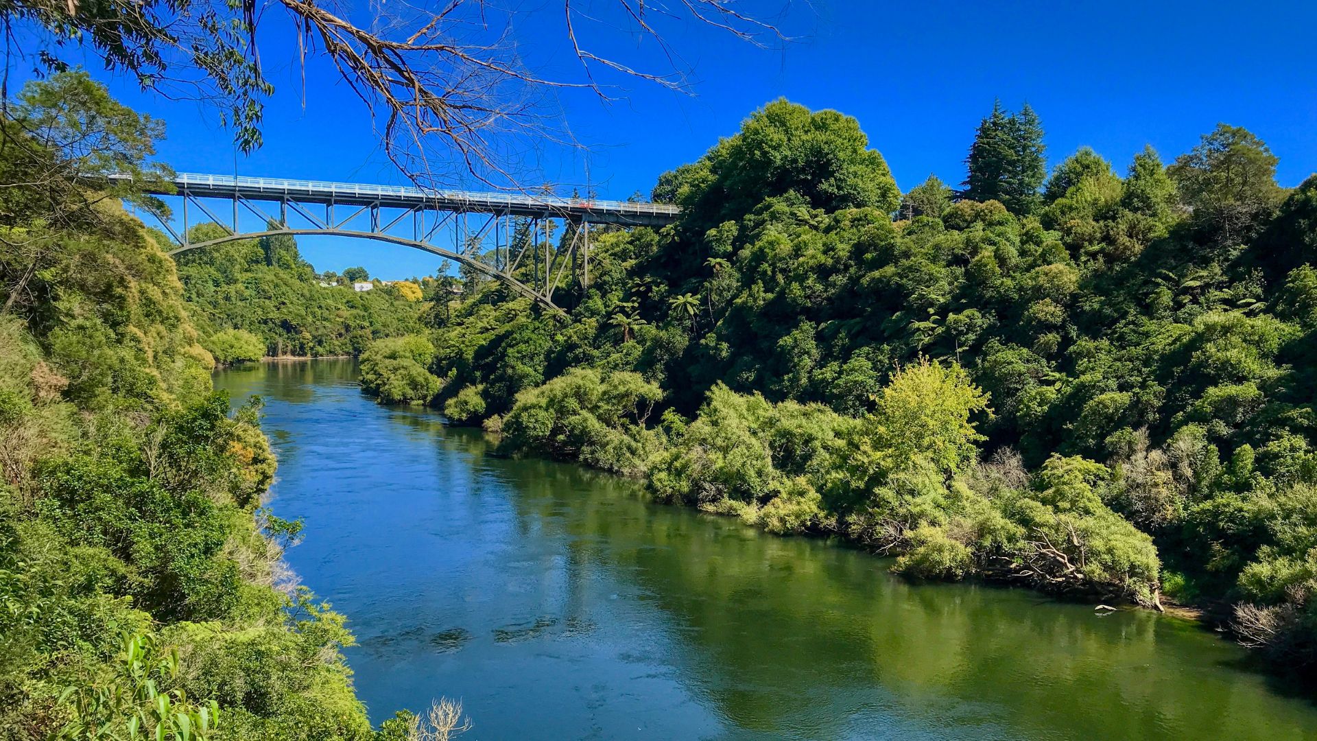 Victory Brdge In Cambridge New Zealand