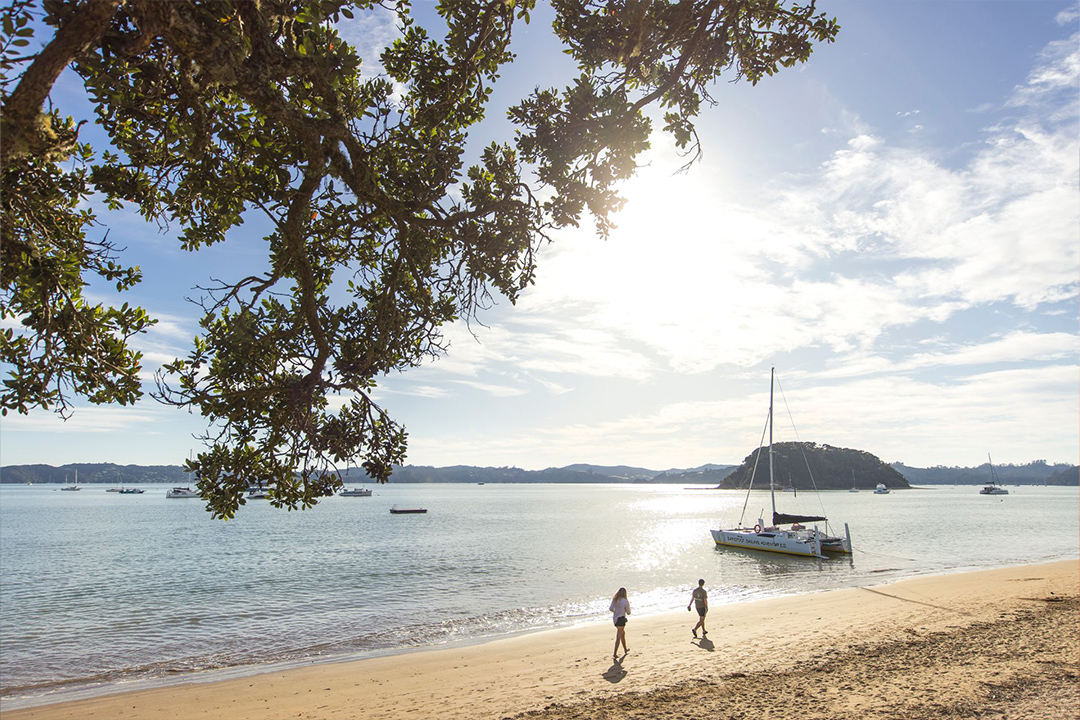 View From Beach Catamaran Near Paihia