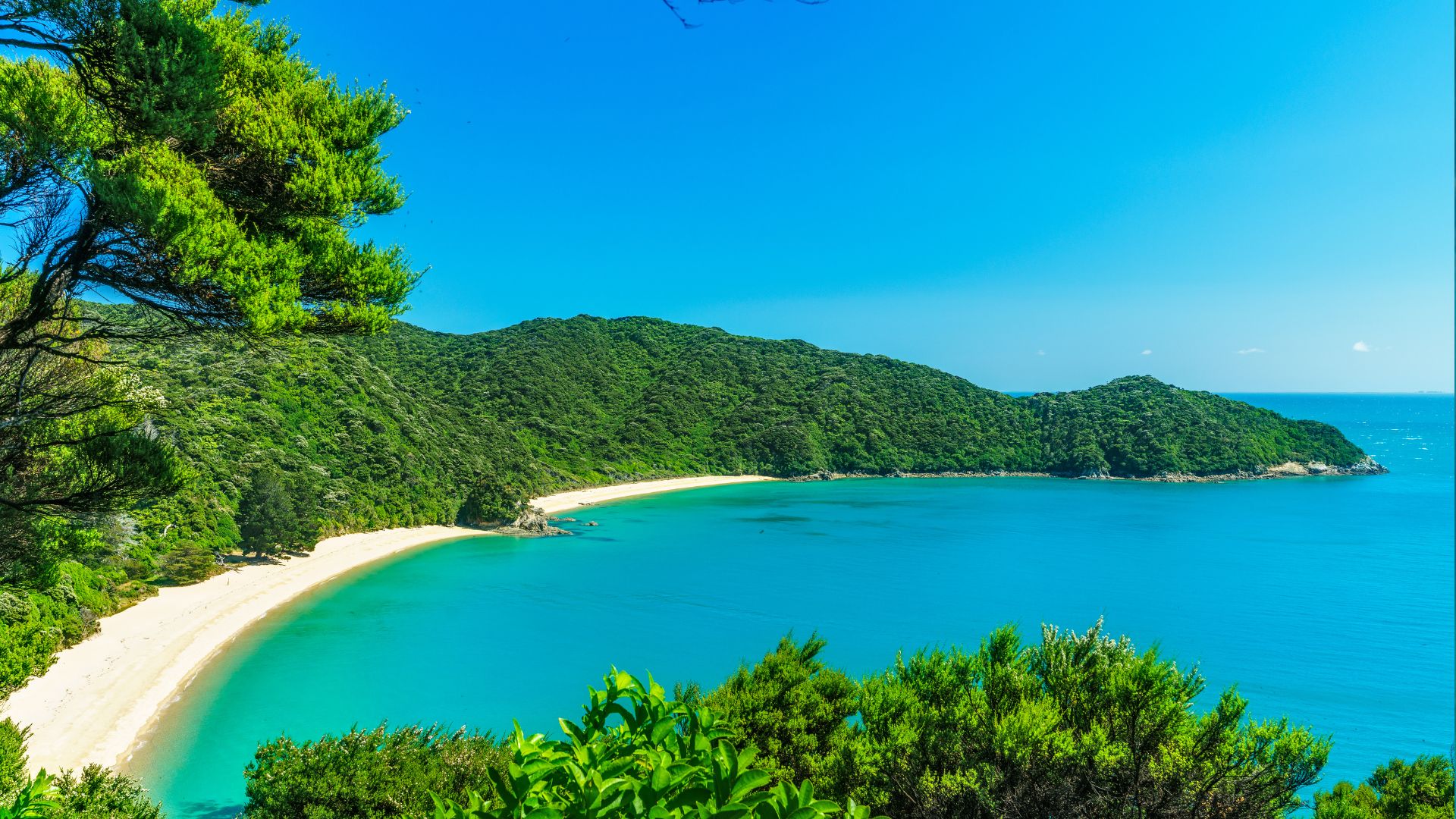 View Of White Sand Beach In New Zealand 1920×1080
