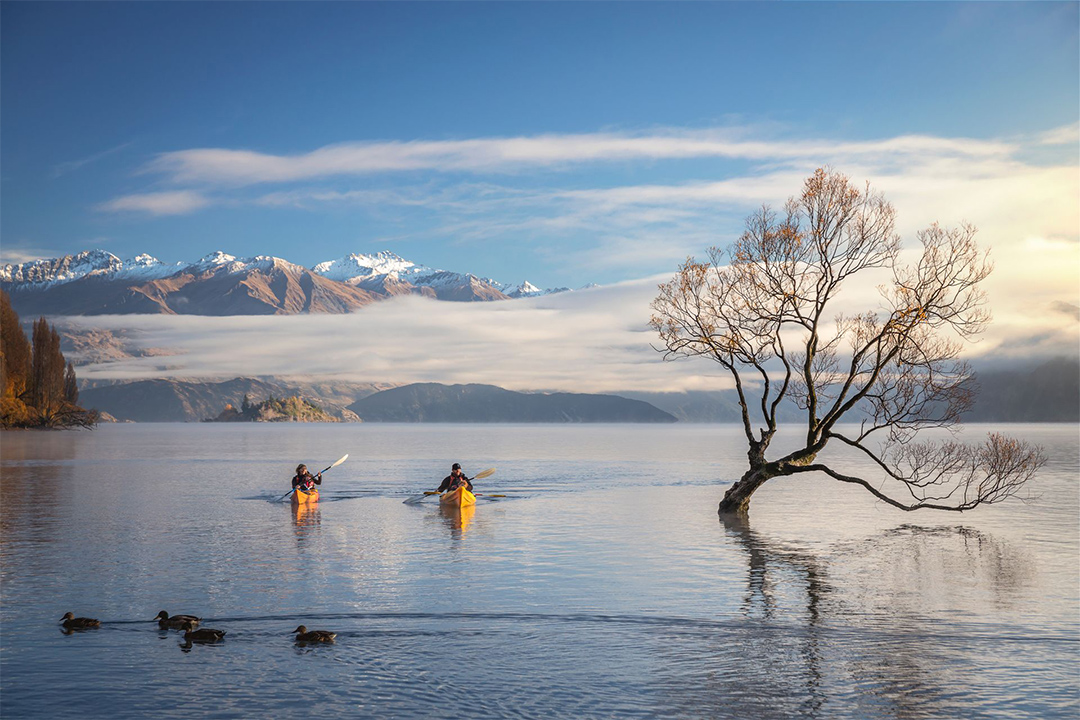 Kayakers enjoy a calm day on Lake Wanaka