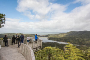 Wilderness Experience Nature Tour Group On Lookout