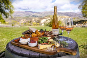 Central Otago Wine Tour Cheese And Wine Sampler At Vineyard