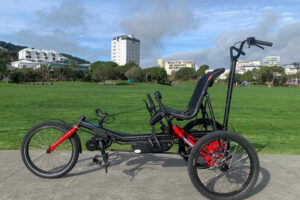 Electronic Trike Hire Full Day Trike