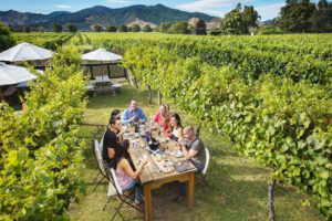 Gourmet Gold Winemakers Tour Group Enjoys Food At Vineyard 1080×720