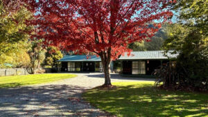 Kiwi Park Motels Exterior