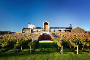 Marlborough Hop On Hop Off Wine And Beer Full Day Vineyard View