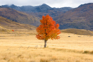 Private Wanaka Otago Photography Three Day Tour