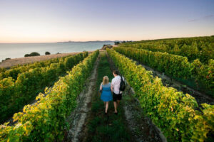 Private Winemakers Tour Couple Walks Through Vineyard