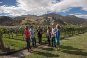 Queenstown Original Wine Tour Group Learns About Grapes