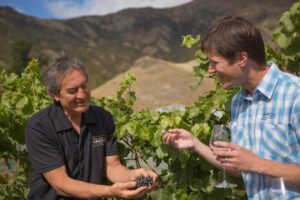 Queenstown Private Wine Lovers Tours Guest Learns About Grape Growing Process