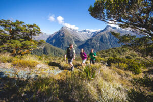 Routeburn Track Guided Walk From Te Anau Couple Follows Guide On Trail