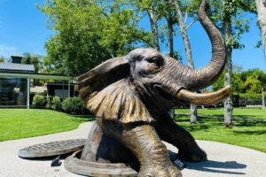 Tour Group Sculptureum Experience Elephant Sculpture