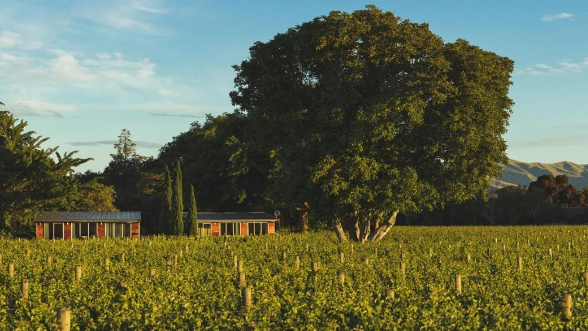 Walnut Block Cottages Exterior